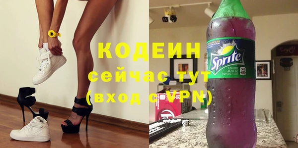 индика Горно-Алтайск