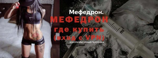 индика Горно-Алтайск