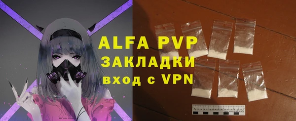 индика Горно-Алтайск