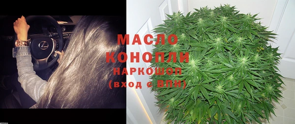 индика Горно-Алтайск