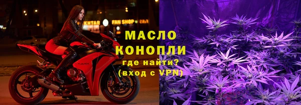 индика Горно-Алтайск