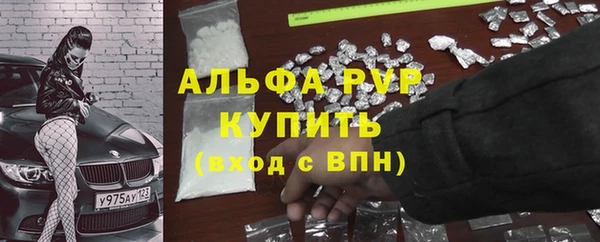 индика Горно-Алтайск