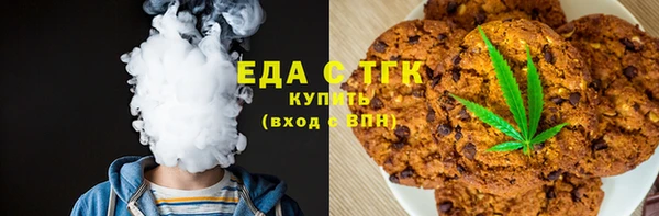 индика Горно-Алтайск