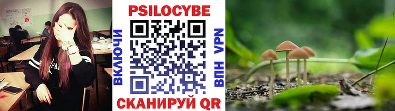 Псилоцибиновые грибы Magic Shrooms  Купить где  Бабушкин 